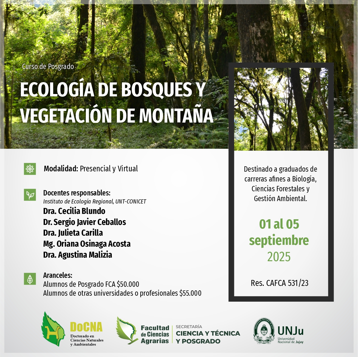 imagen_curso