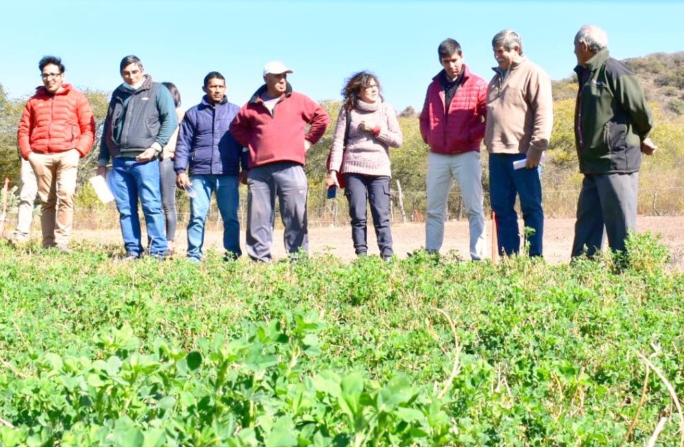 FCA- UNJu trabaja con productores ganaderos de El Fuerte y Palma Sola