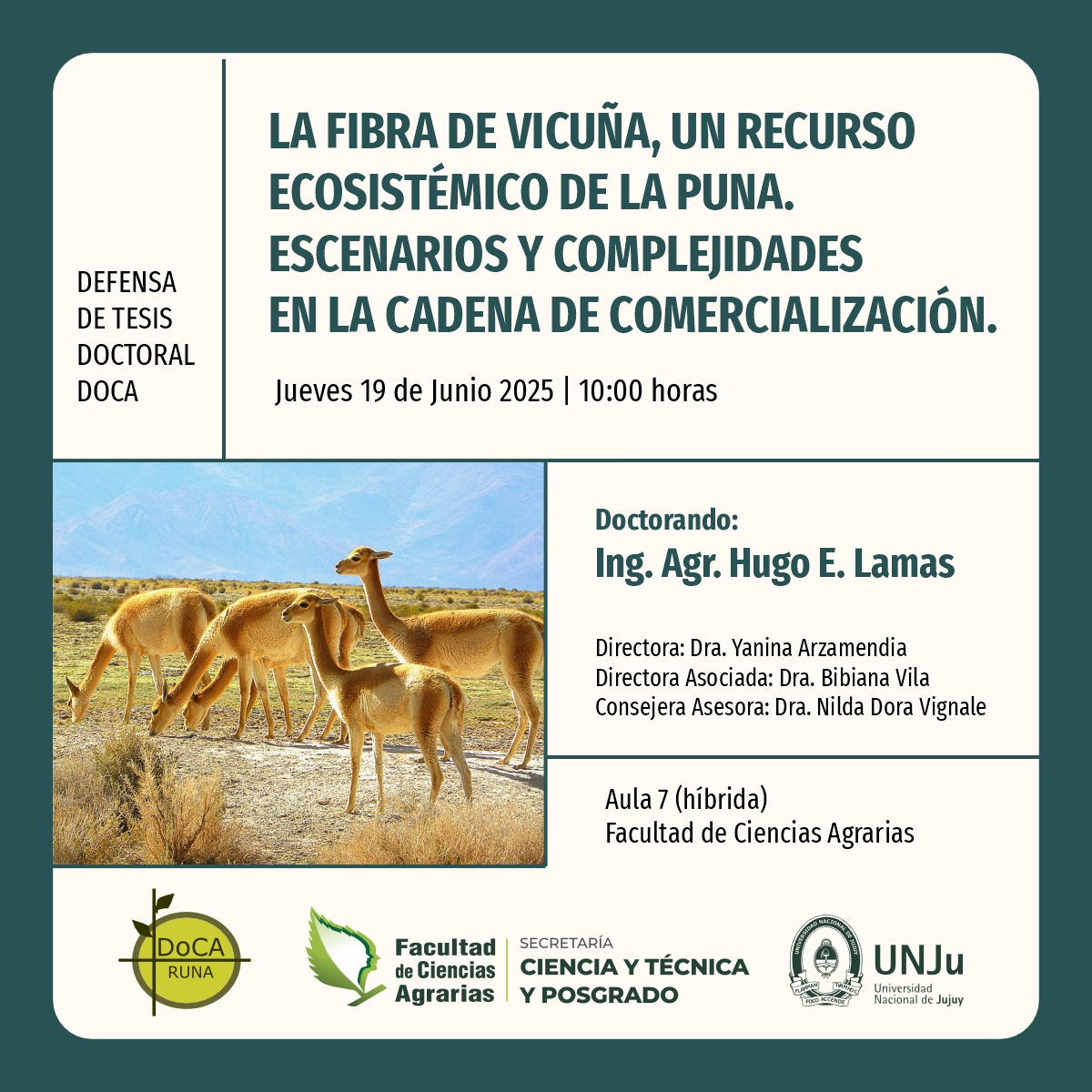 Defensa de tesis doctoral sobre fibra de vicuña como recurso y desafío comercial