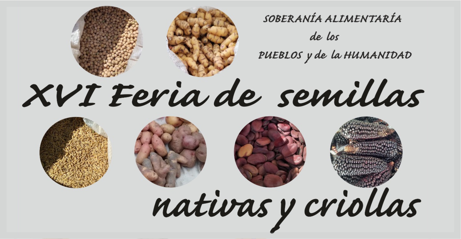 Desarrollarán la XVI Feria de Semillas Nativas y Criollas