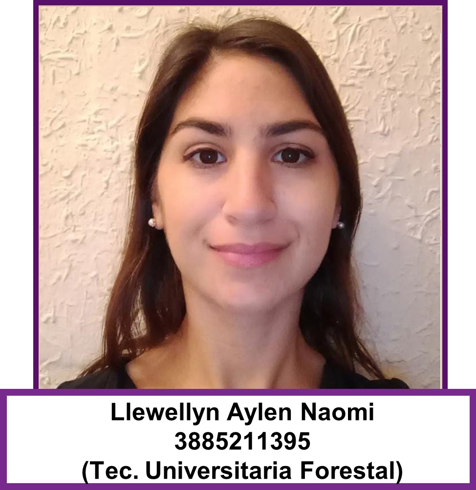 Llewellyn, Aylen Naomi