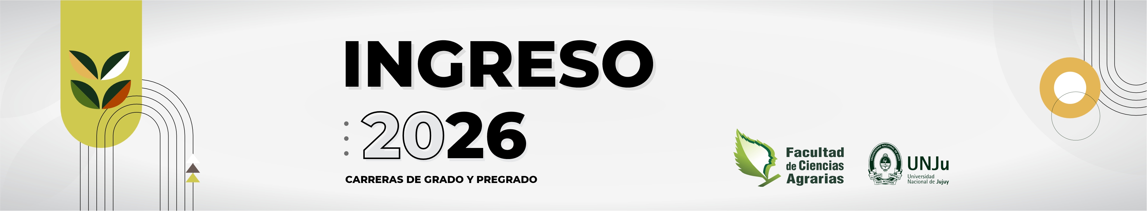 ingreso-2025